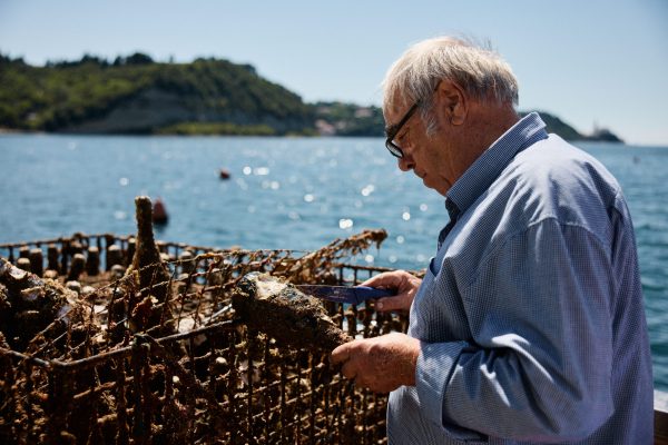 Mare Santo Dragic-25 Mare Santo Cuvée Prestige Extra Dry