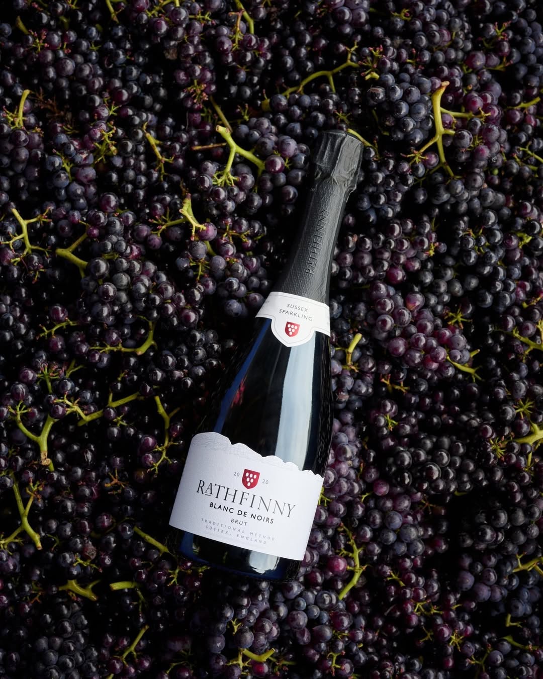 Rathfinny Blanc de Noirs: Whispers of Black Grapes on Sussex Chalk