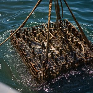 Mare Santo Cuvée Prestige Extra Dry - Image 6