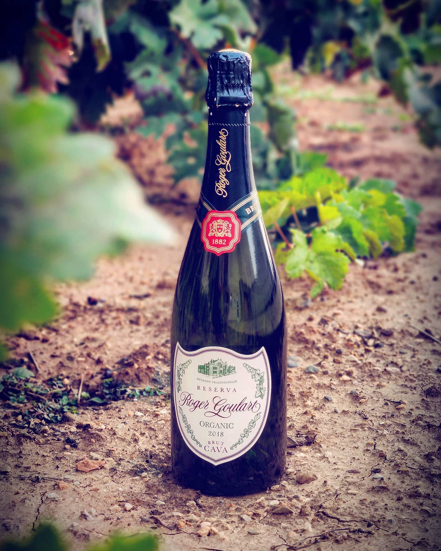Roger Goulart Organic Reserva Brut - Image 6