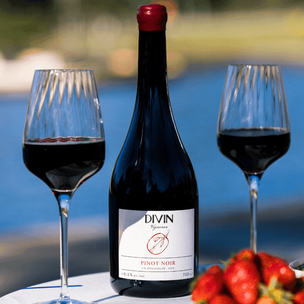 Divin Vigneron 0.5% Pinot Noir - Image 6