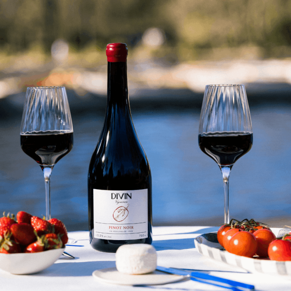 Divin Vigneron 0.5% Pinot Noir
