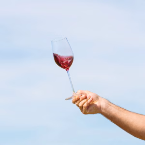 Divin Vigneron 0.5% Pinot Noir - Image 4