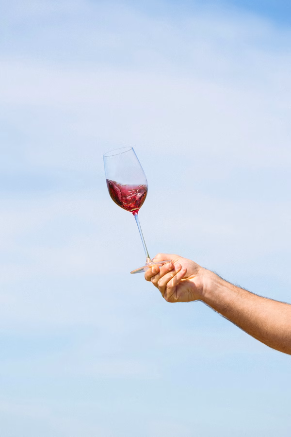 Divin Vigneron 0.5% Pinot Noir