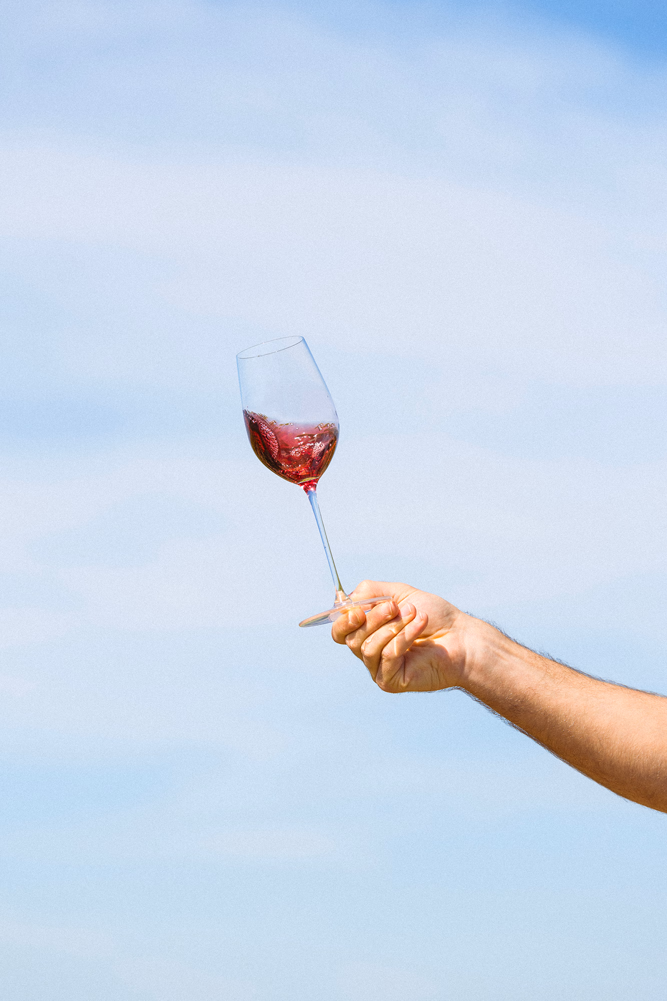 Divin Vigneron 0.5% Pinot Noir - Image 4