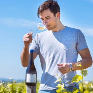 Divin Vigneron 0.5% Sauvignon Blanc - Image 4