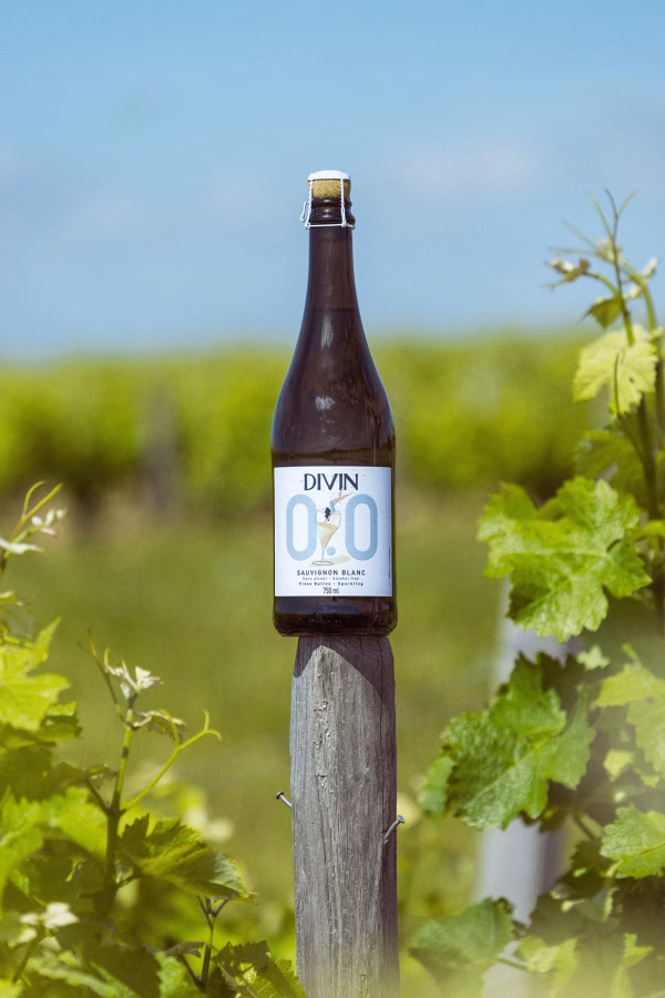 divin_officiel_sparkling_juin_24_4-web (1) Divin 0.0 Sauvignon Blanc Sparkling