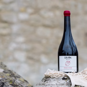 Divin Vigneron 0.5% Pinot Noir - Image 3