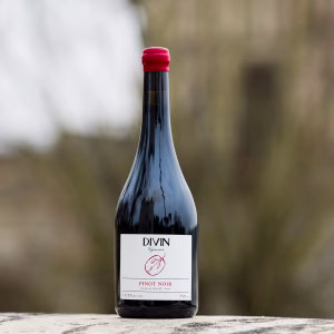 Divin Vigneron 0.5% Pinot Noir - Image 2