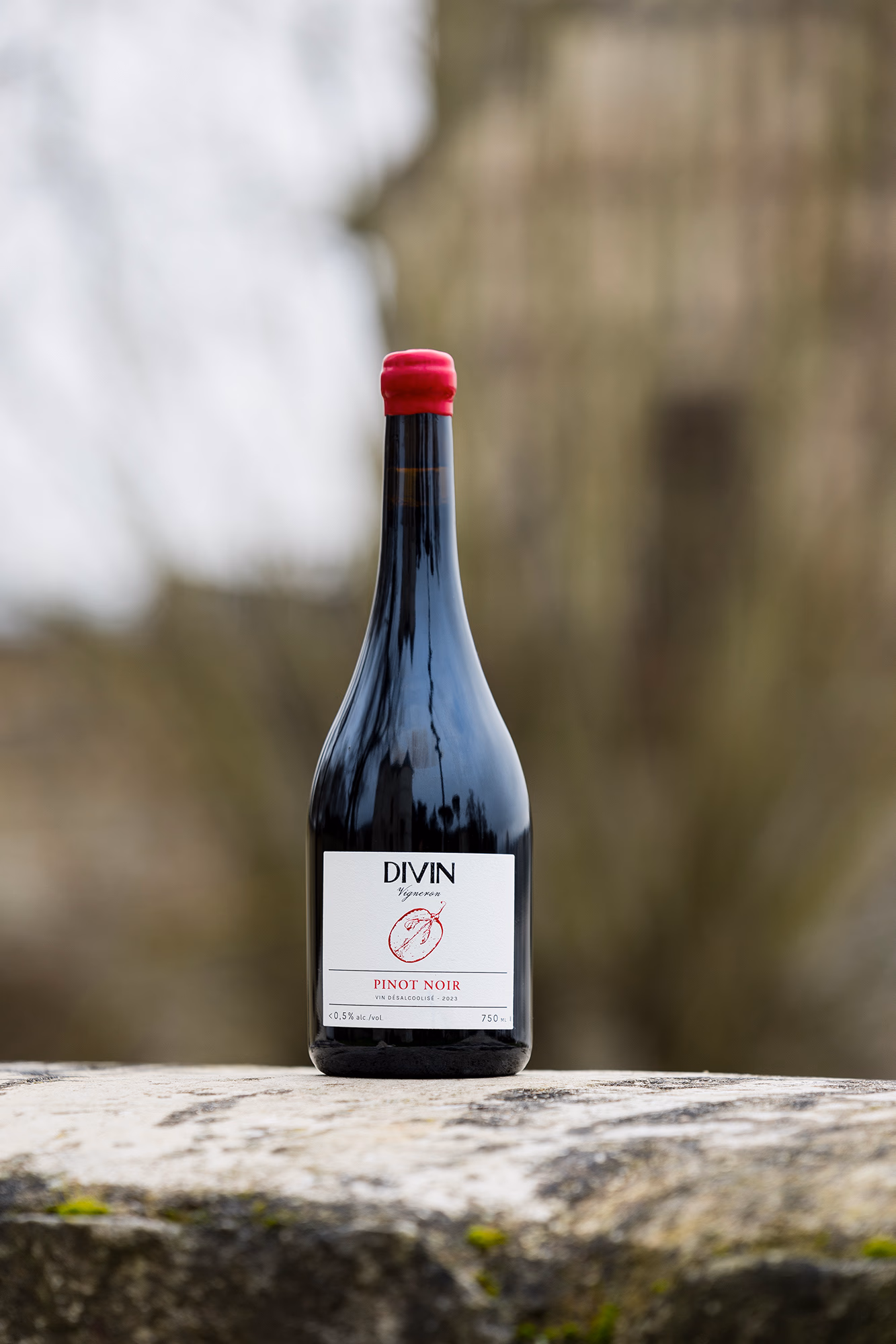 Divin Vigneron 0.5% Pinot Noir - Image 2