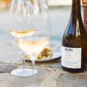 Divin Vigneron 0.5% Sauvignon Blanc - Image 3
