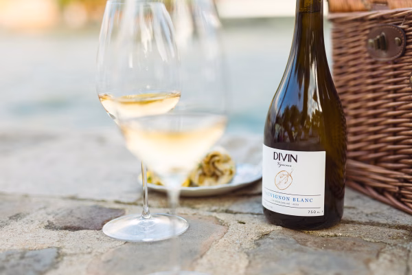 divin_vigneron_amaurydespas_juin_24_5 Divin Vigneron 0.5% Sauvignon Blanc