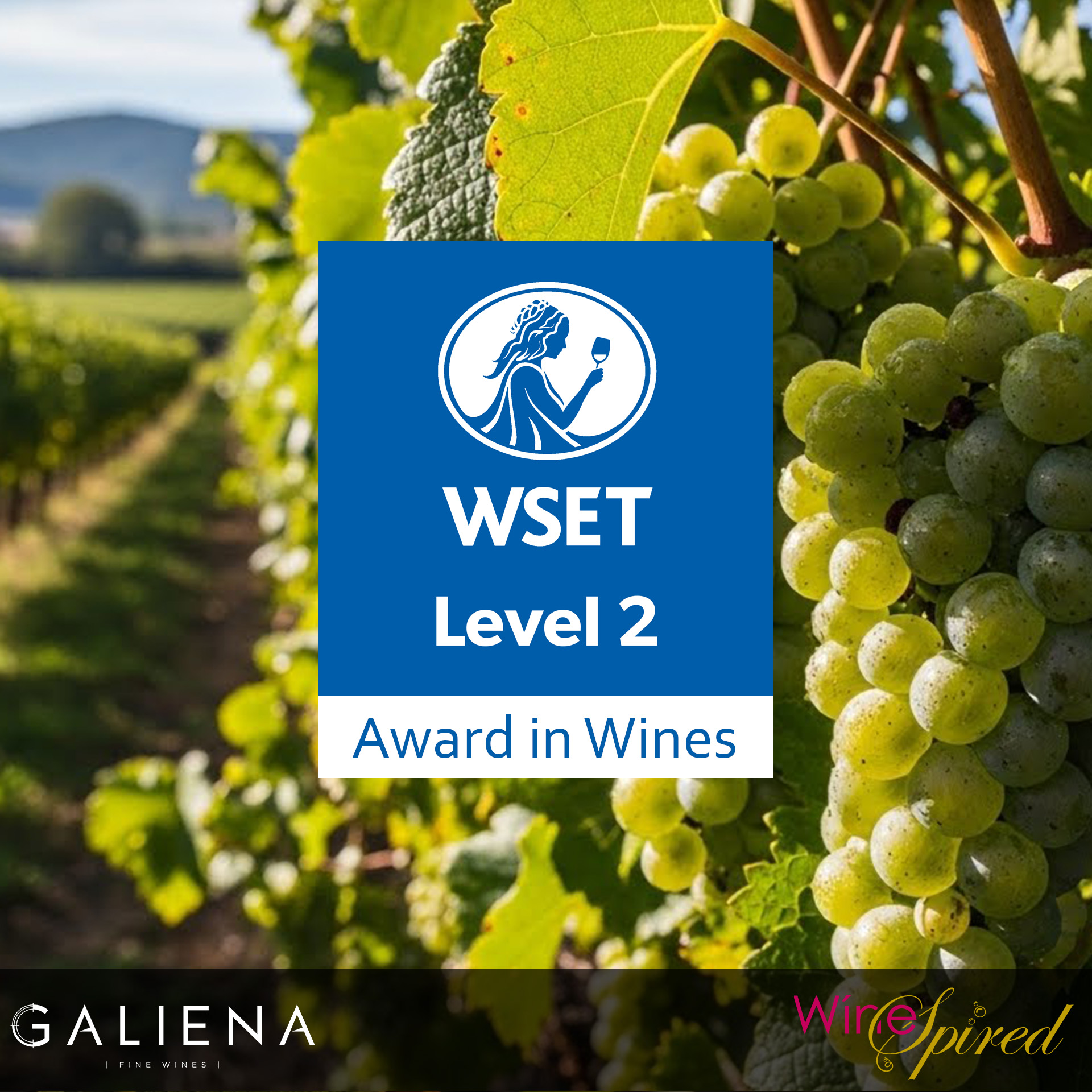 Upcoming WSET Level 2 Award in Wines – 18 & 19 April 2026