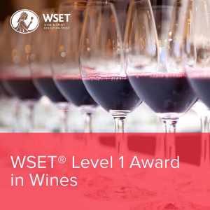 WSET 1 Award in Wines